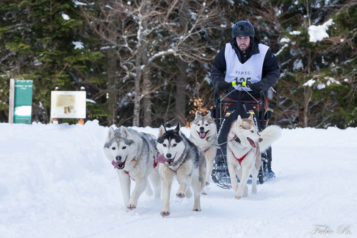 Mushing